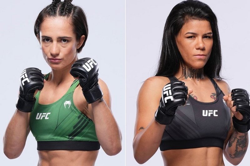Язмин Хореги срещу Денис Гомес на UFC on ABC 5