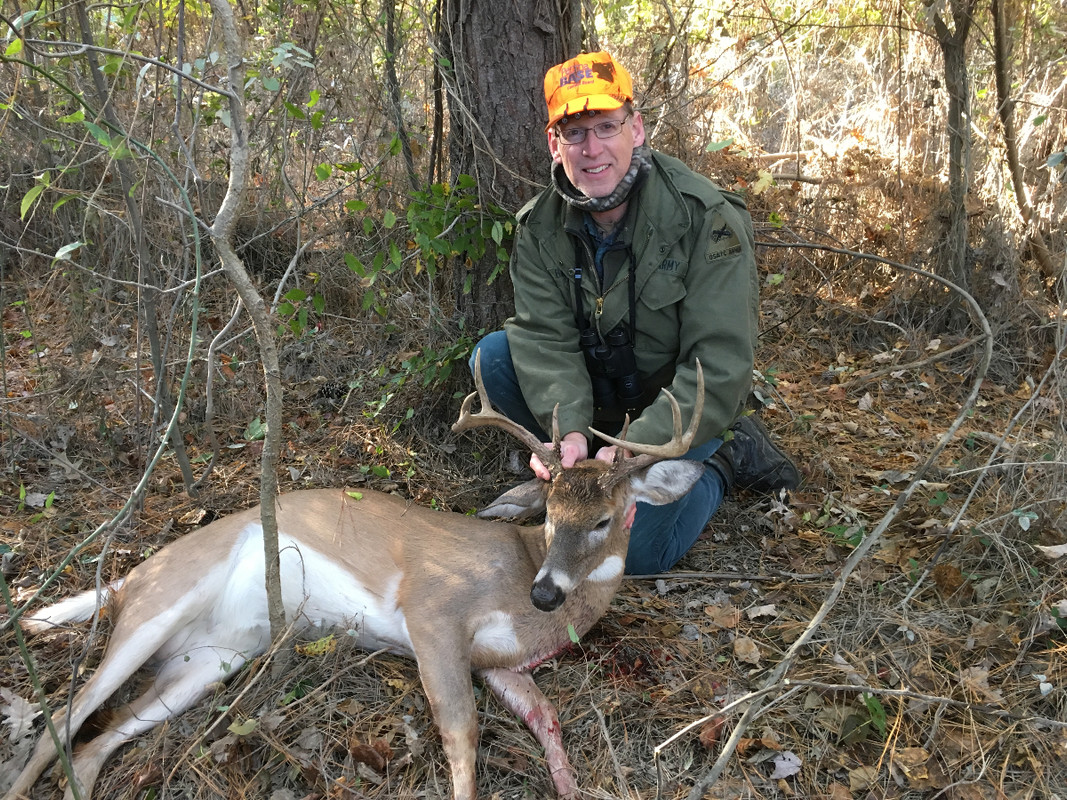 Trump-Buck-11-8-16.jpg