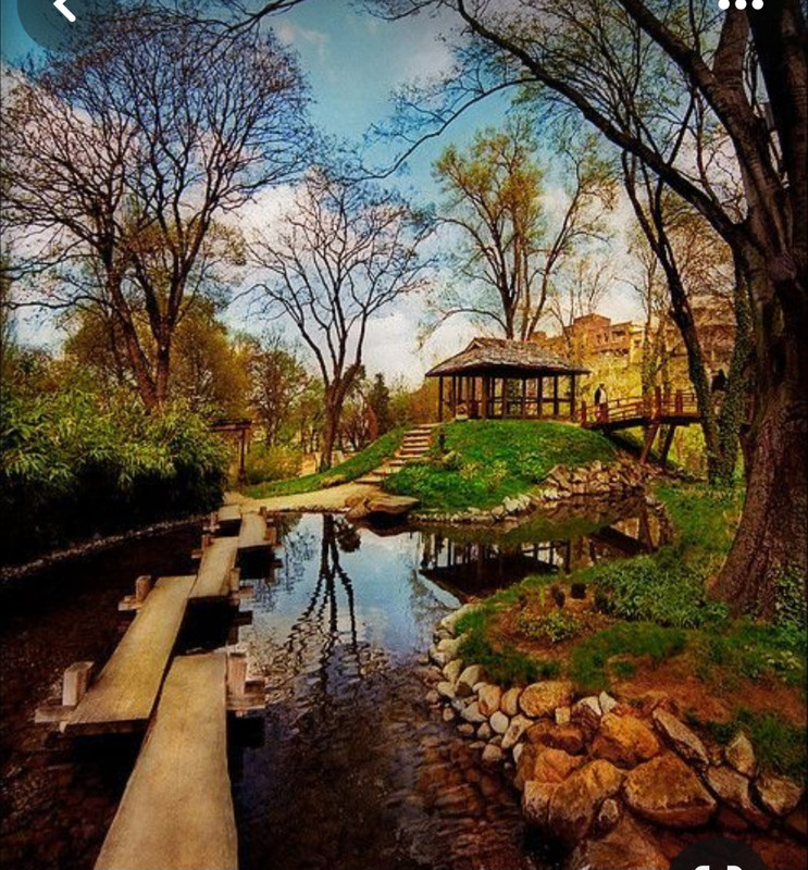 Screenshot_20231119_102156_Pinterest