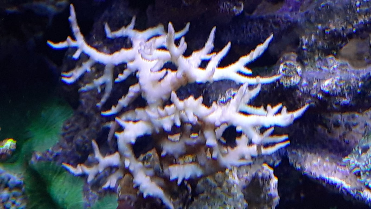 WhatsApp Image 2021-02-19 at 12.49.28 (4)