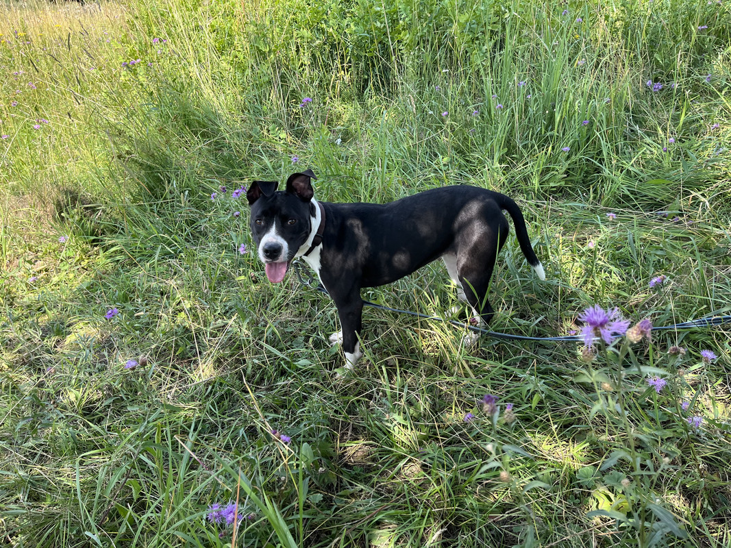 5432E0DE-5A6B-4B3D-B90A-8826D72F7BC0