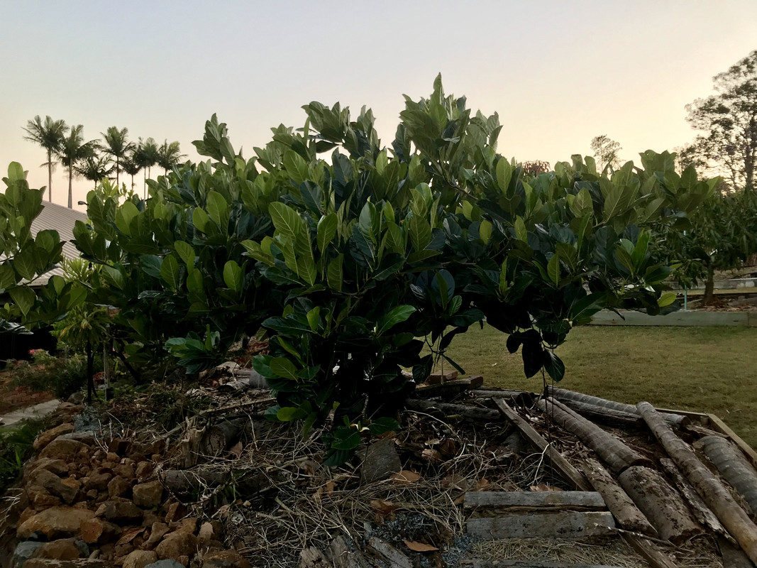 9C793F69-C214-46BD-90BF-5DA70F98B6A5