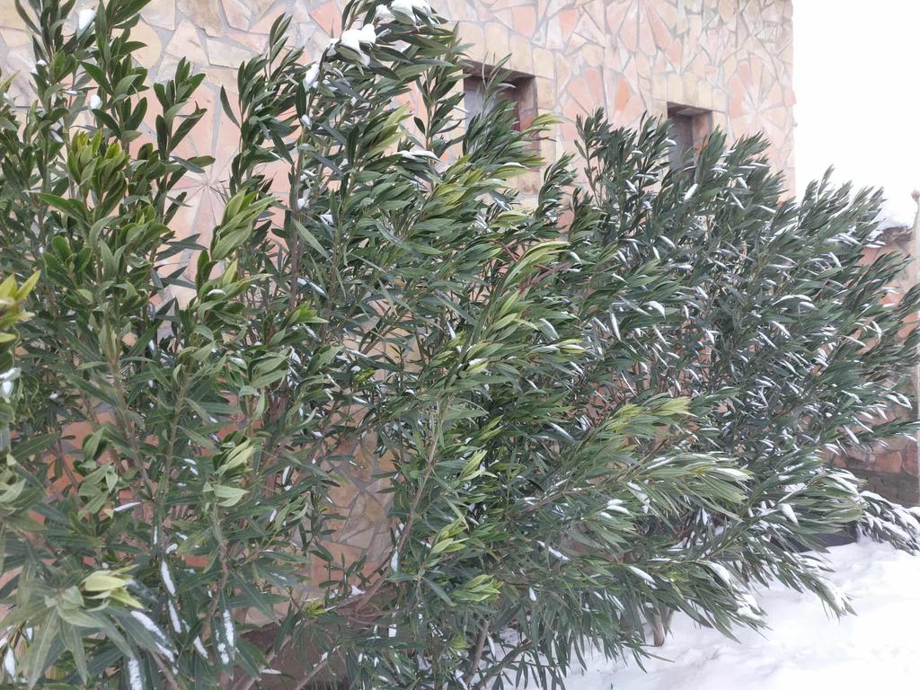 2a235e56 6332 4367 85ee 108322110322