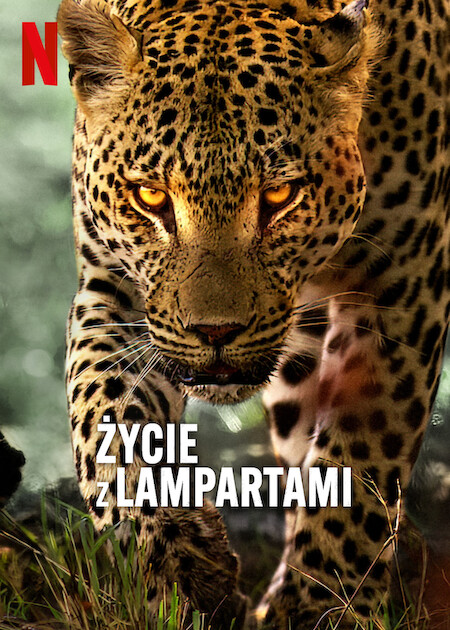 Życie z lampartami / Living with Leopards (2024) MULTi.1080p.NF.WEB-DL.H.264-DSiTE / Lektor i Napisy PL