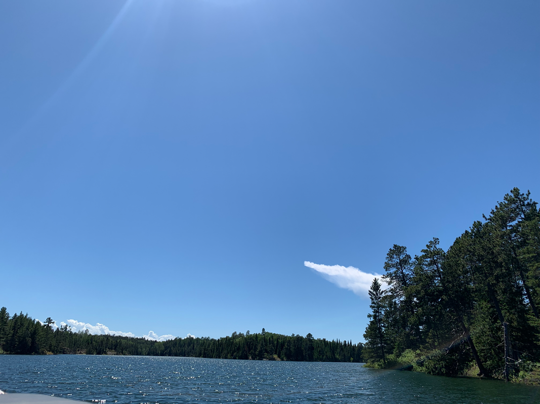 Sky-Musky-1.png
