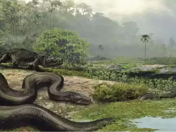 [Image: titanoboa-largest-snake-10354-2-1697303351.webp]