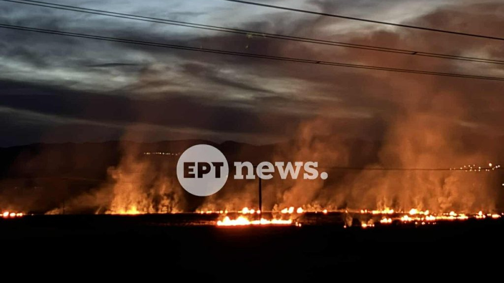 κοζάνη, ειδήσεις, νέα, Πτολεμαΐδα