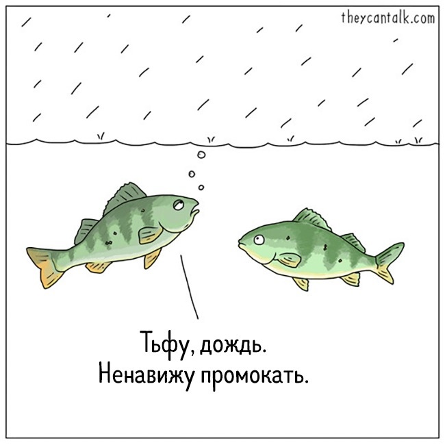 19 комиксов от художника, который умеет читать мысли животных