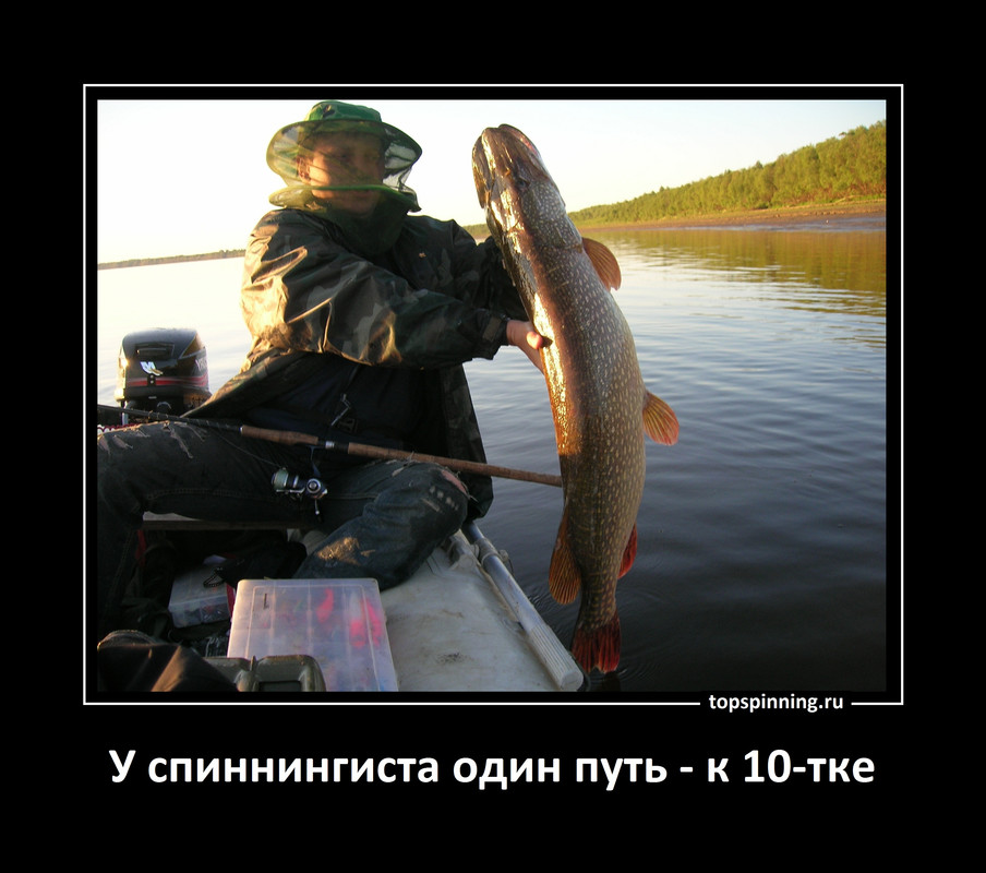 11 (4) джиг головка купи спиннинг катушка Куляпин ловля рыбалка лучший судак демотиватор рыбалка щук