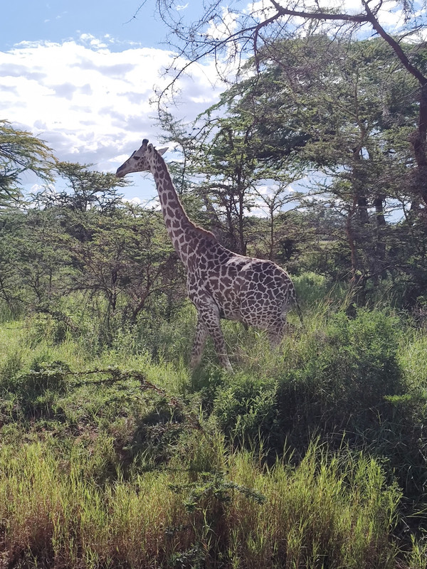 IMG_20250614_151514670