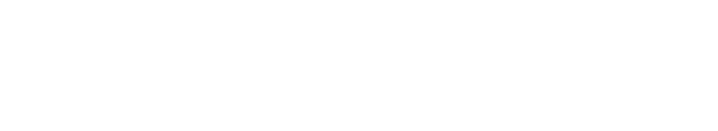 New York Logo