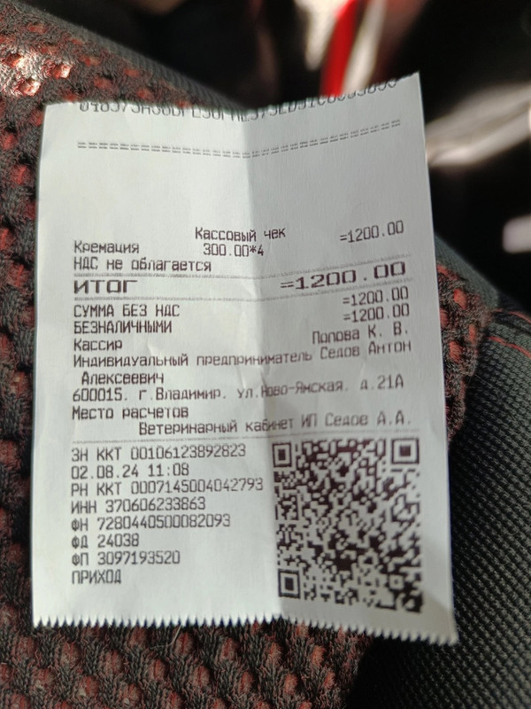 кошка чек 4