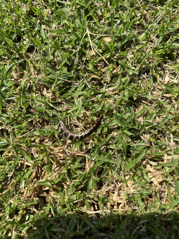 DB414478-F6B2-44DB-B92A-34BBB7D144AC