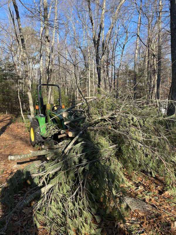 1B7B0DB2-CEF9-489F-A70B-A585086D0361