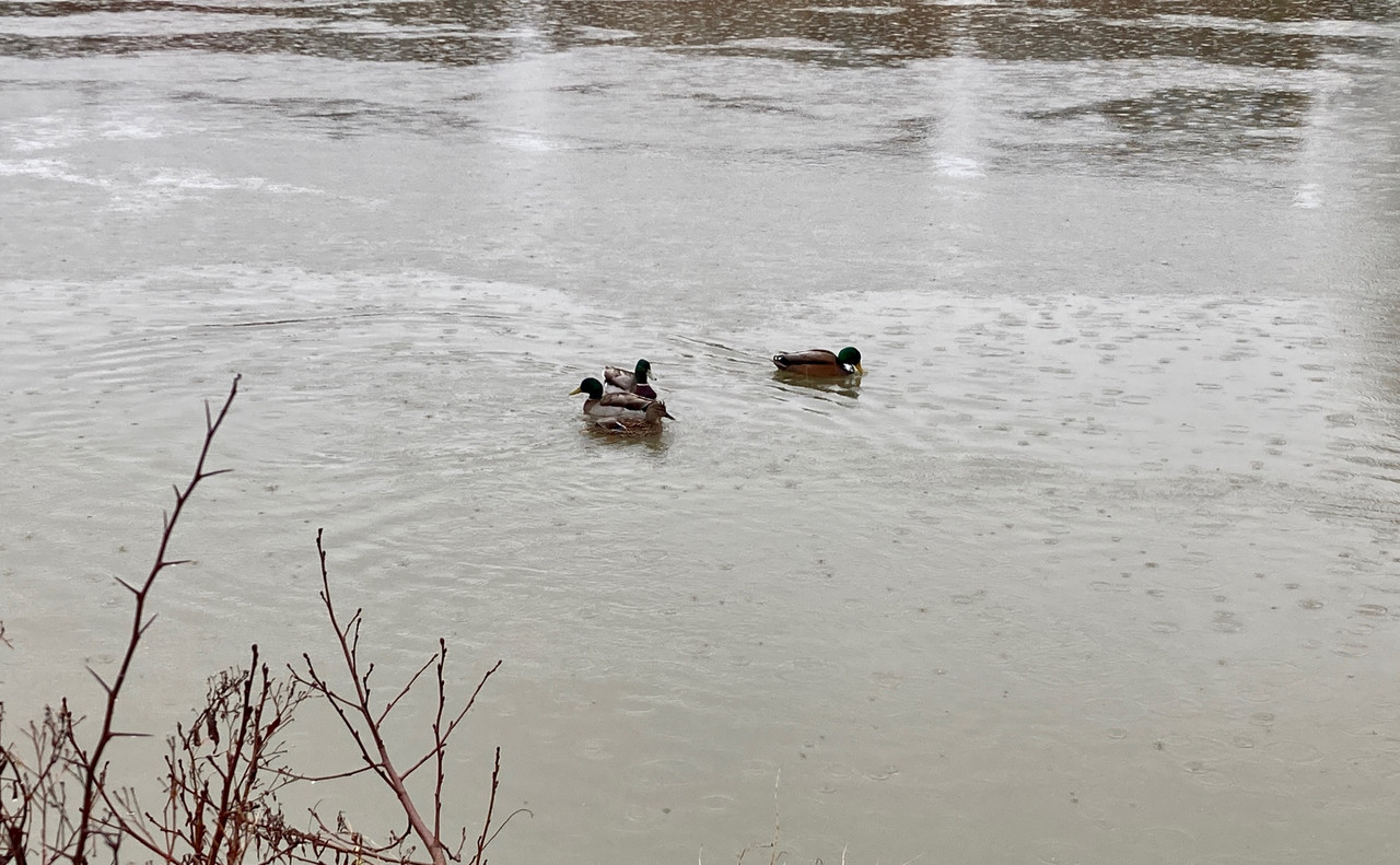 E0CC1E2C-B7B9-42A8-8E2F-CD4E52E323DE