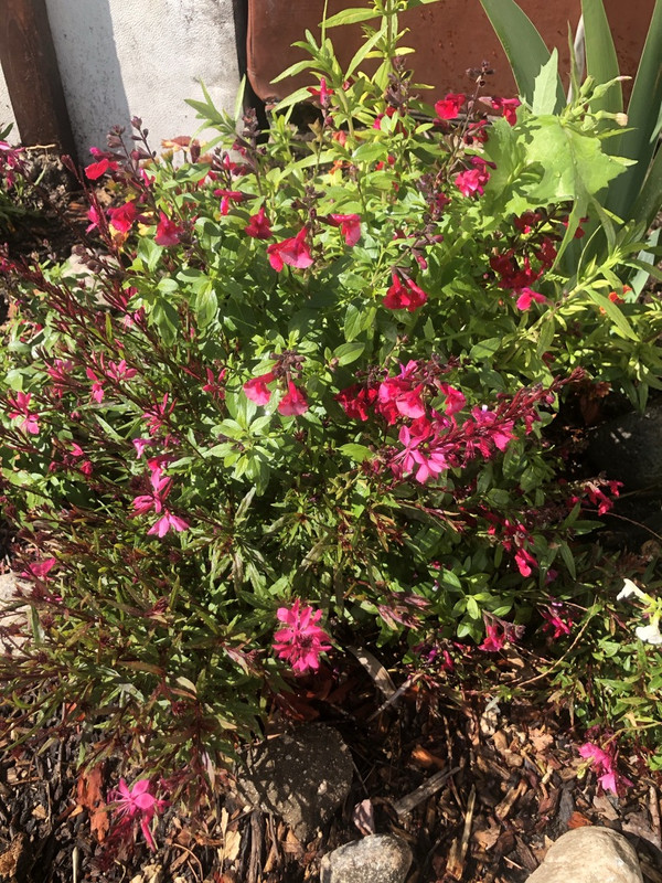 9-B550-E4-F-82-AB-484-A-A05-A-2786-F4-F67-C54-1-105-c