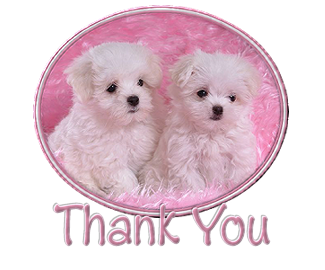 THANK_YOU_2_dogs