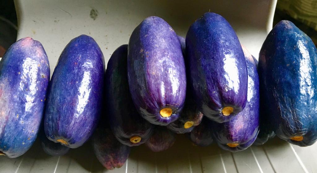 60E98943-5A47-4215-9630-C038DCE23953