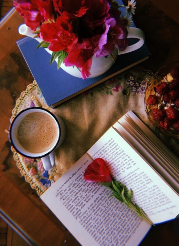 Screenshot_20230219_201317_Pinterest