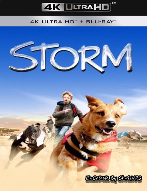 Sztorm - Najszybszy Kundel Świata / Storm - Sieger auf vier Pfoten (2009) MULTI.UP.AI.HDR.2160p.BluRay.DTS.AC3-ChrisVPS / LEKTOR i NAPISY