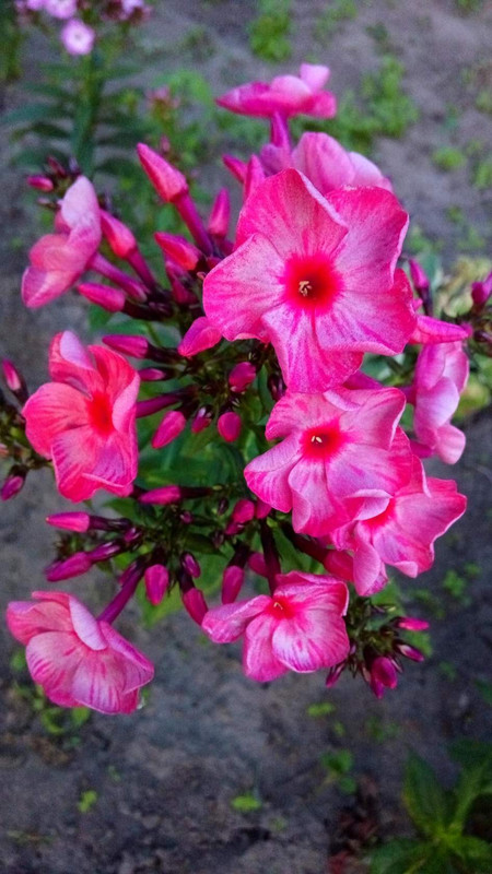 image (7)