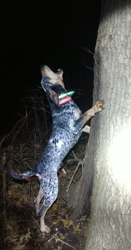 063AD08B-E777-4B8C-8738-9E1D5FBAB709