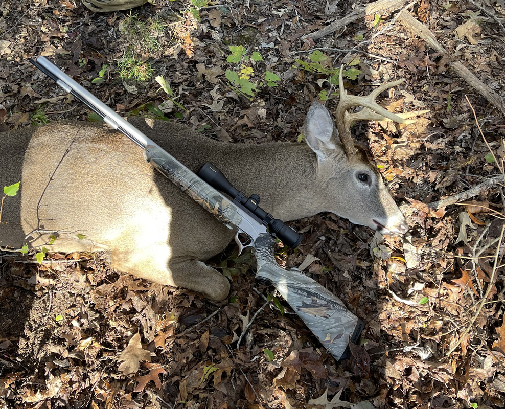 C37375EC-6BBA-40FA-B31C-D8FE57D73678