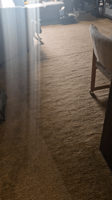 20250407-165959-1.gif