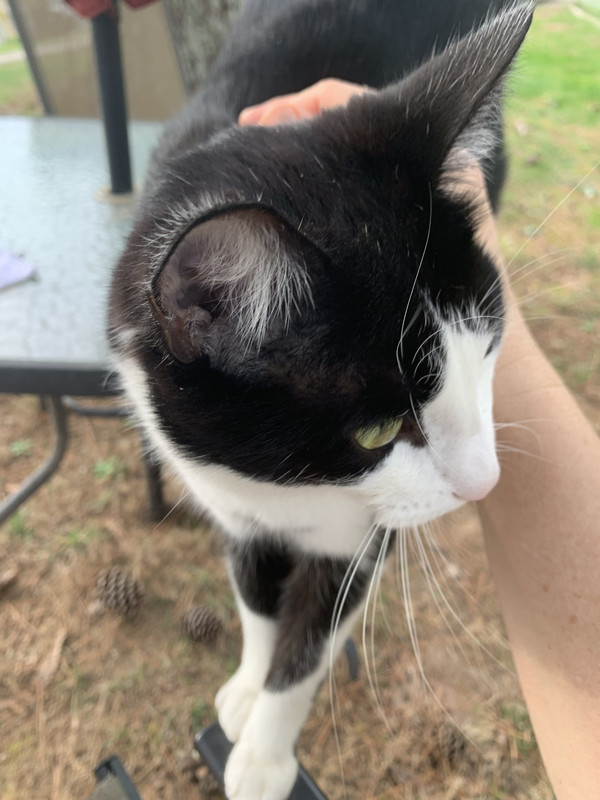 5352ABCE-45FF-4C20-9B85-83325EC3B72B