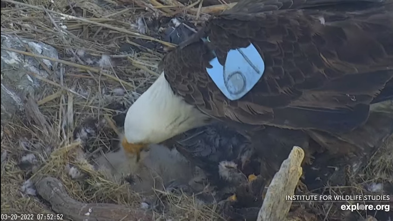 2E2E2FA1-9B98-4899-98CB-E7587D45AF64