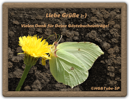 An den Beitrag angehängtes Bild: https://i.postimg.cc/qMgFdZK3/gbls10d.png