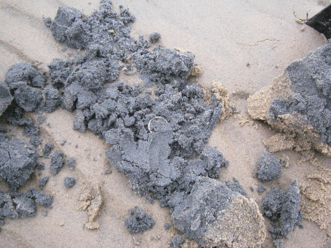 Särkillä 20-10-14 001