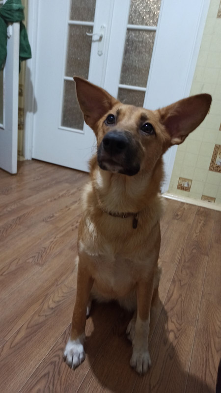 изображение_viber_2022-01-12_14-32-29-511