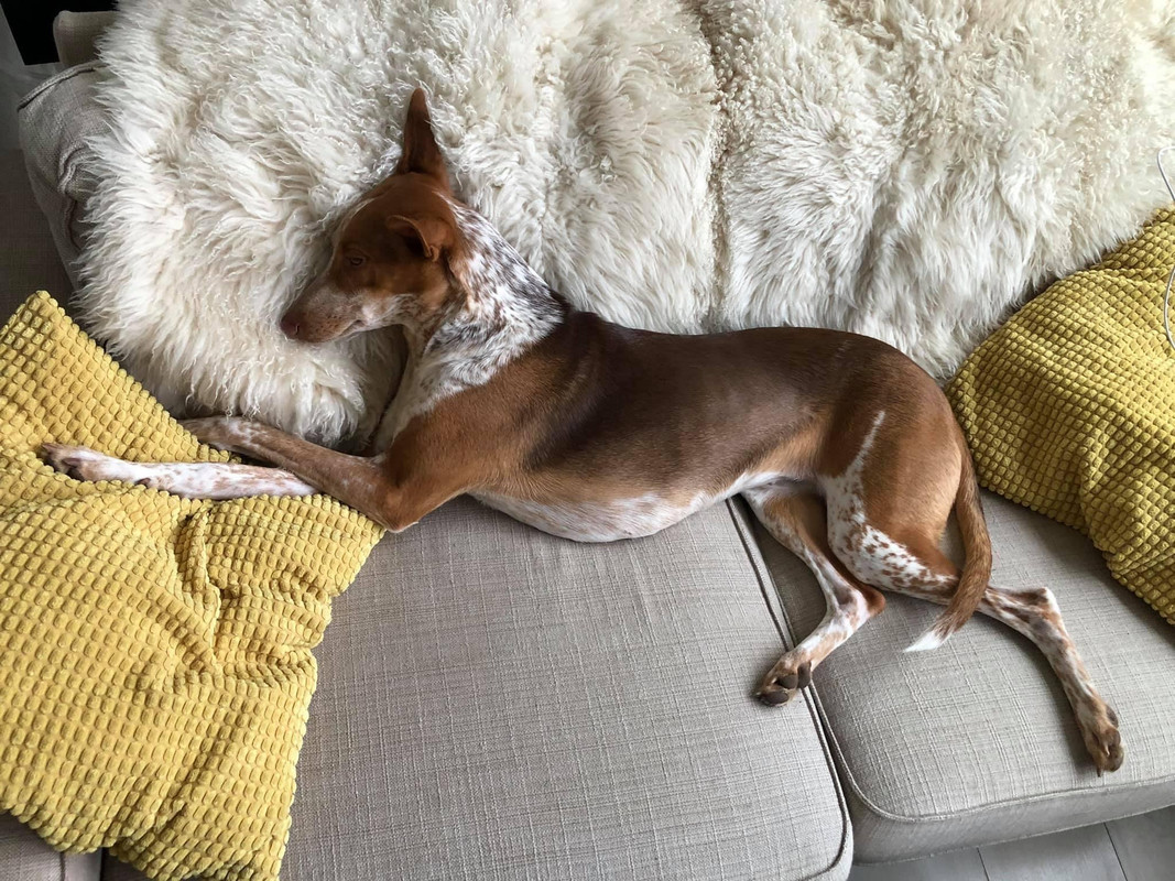 3F9569C7-0A9A-4341-A8BB-F3B1445AA1CE