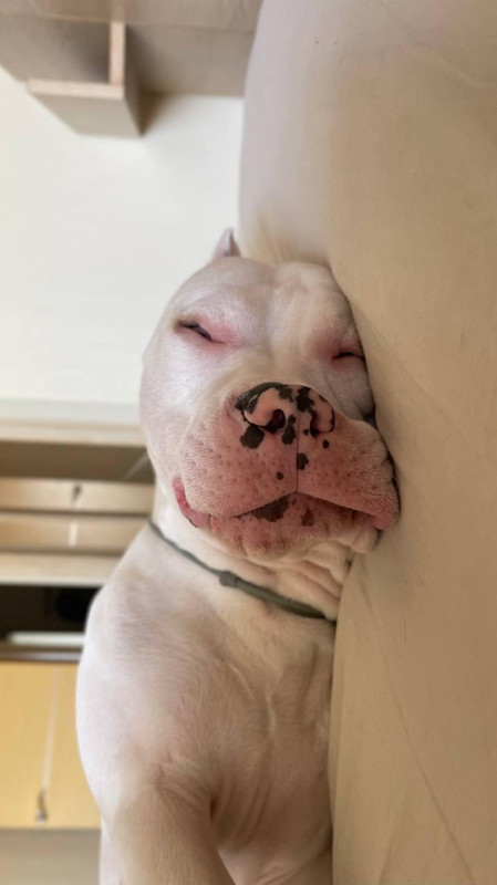 19B483CE-C82B-416A-A5C2-9575F21EE631