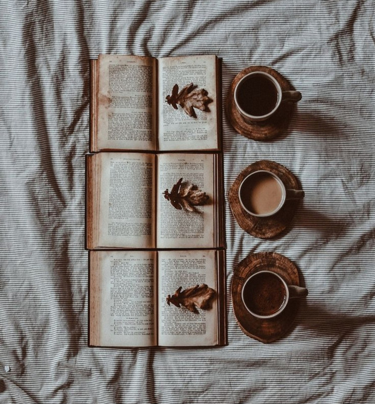 Screenshot_20240118_224120_Pinterest