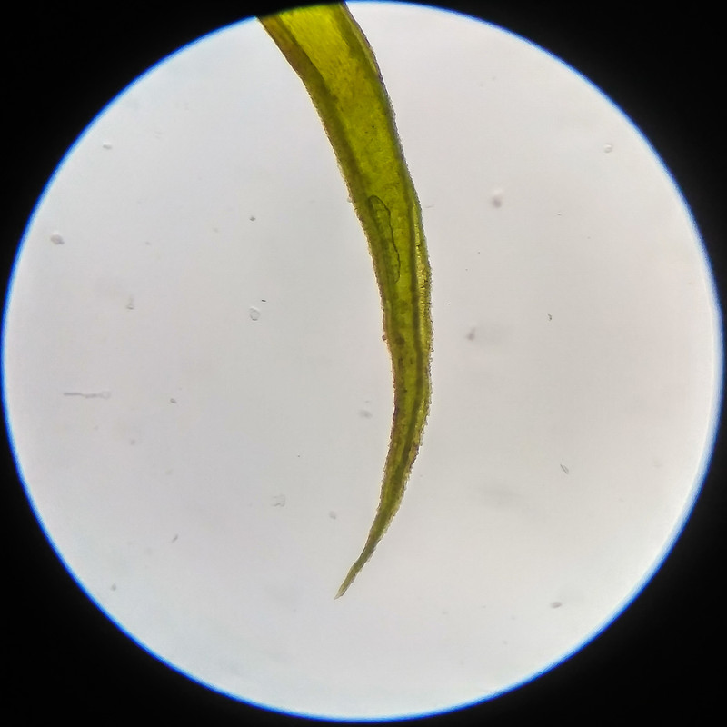 IMG 20250617 123200 HDR