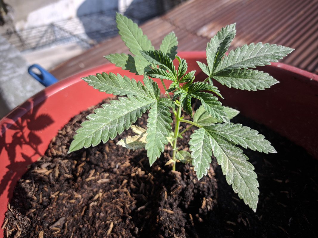 HC_20230127_161634_null