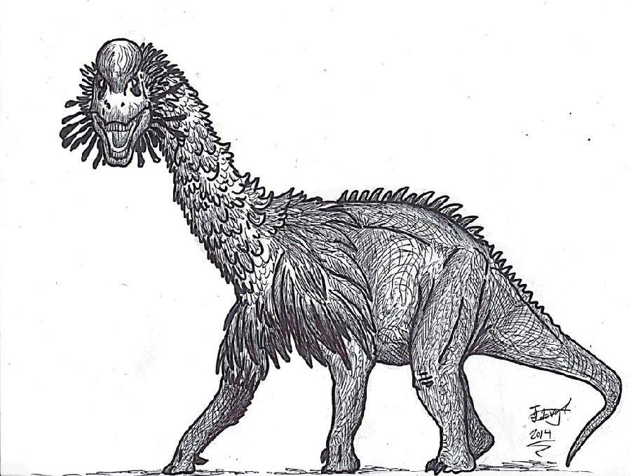 ornithopsis by hodarinundu d7gx14v 286b