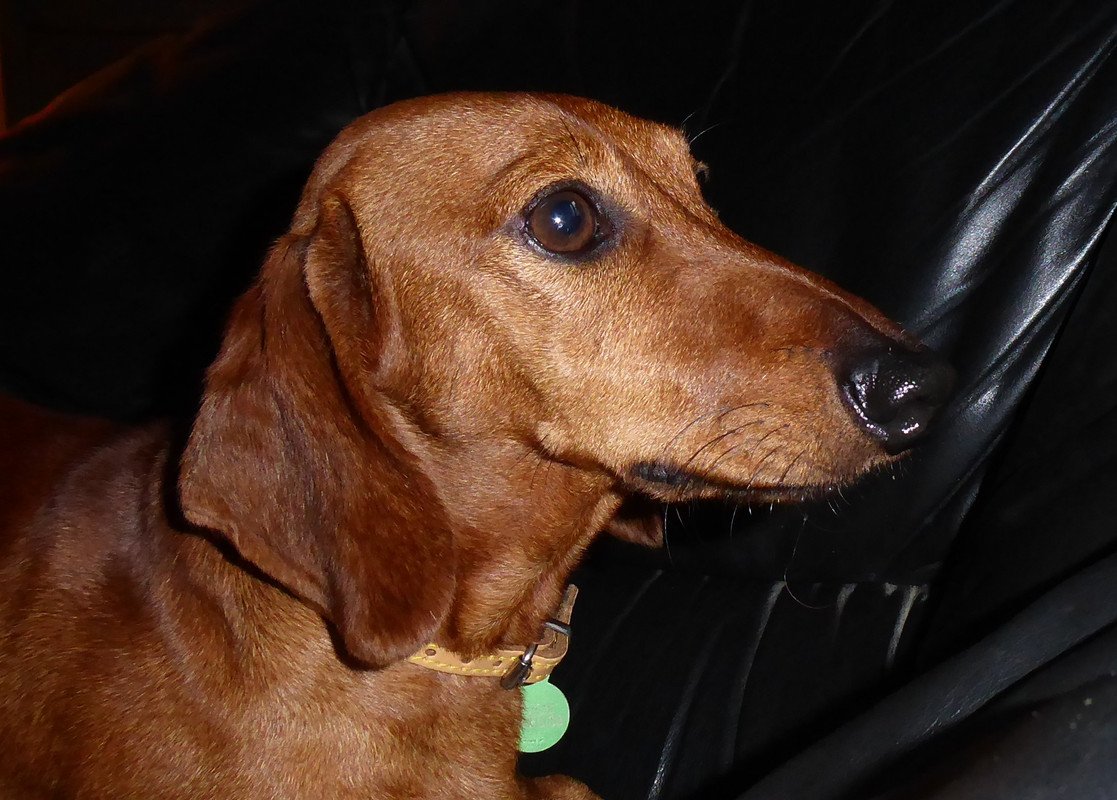 [Image: P1050376.jpg]