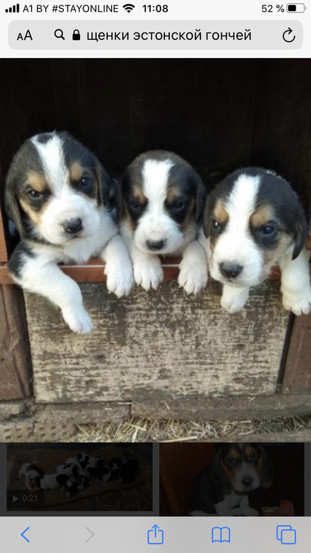 8B27A814-5183-4222-B62D-FC30C2F52492