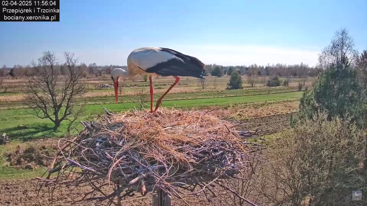 02042025krotkawizytabocka_16