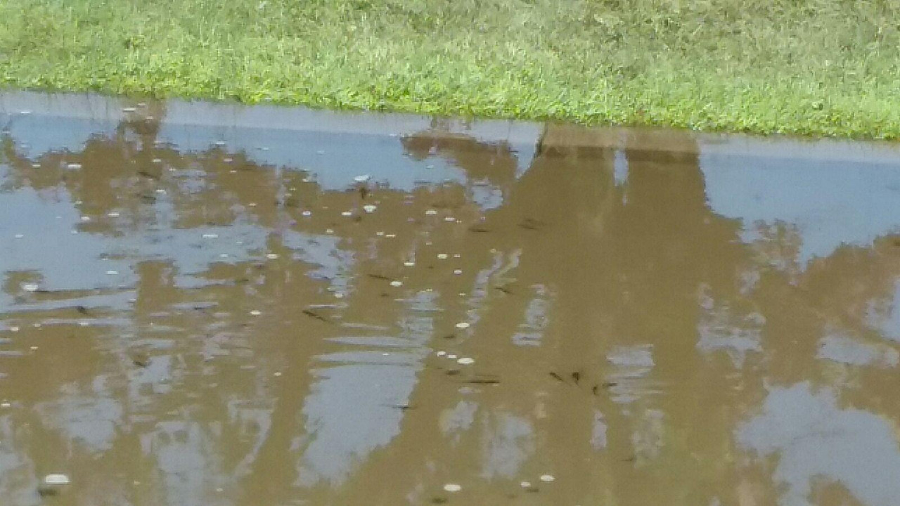 flood4