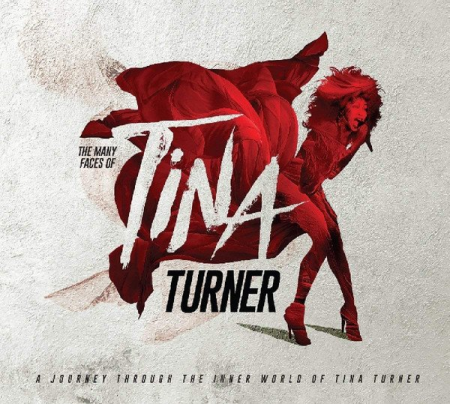 VA - The Many Faces Of Tina Turner (A Journey Through The Inner World Of Tina Turner) (2018) CD-Rip