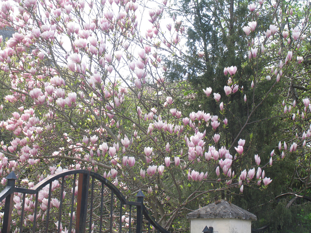 11 апреля 2024 015