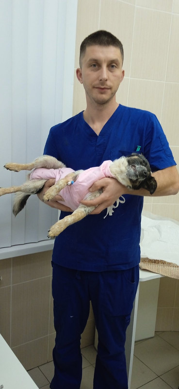 50E704A3-D6F1-4E50-8CCF-A26001E98A02