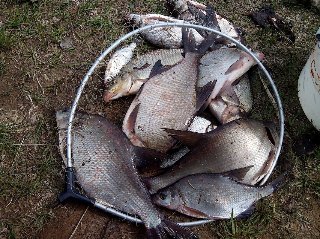 ул. 2-я Набрежная 18.05.15 г 06