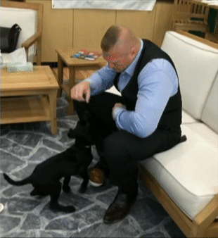 brock4.gif