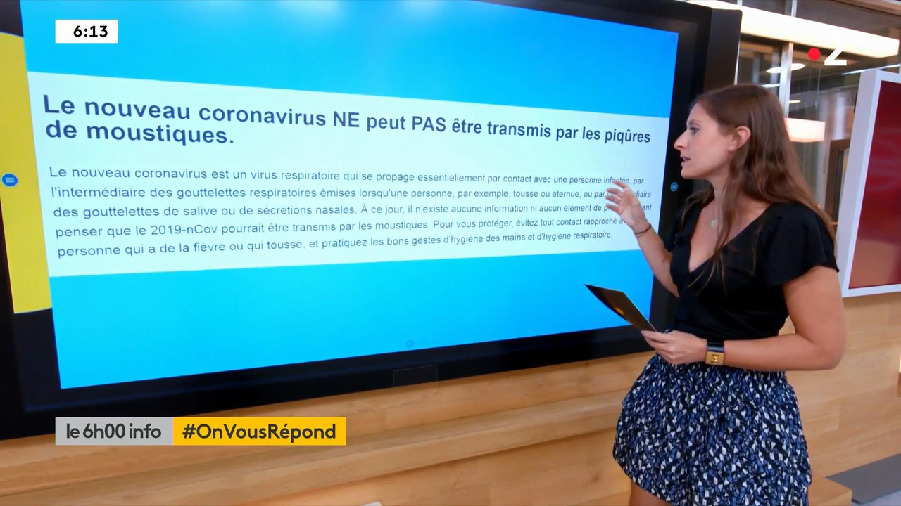 Lise Vogel 110820.mp4_snapshot_01.37_[2020.08.11_17.38.38]