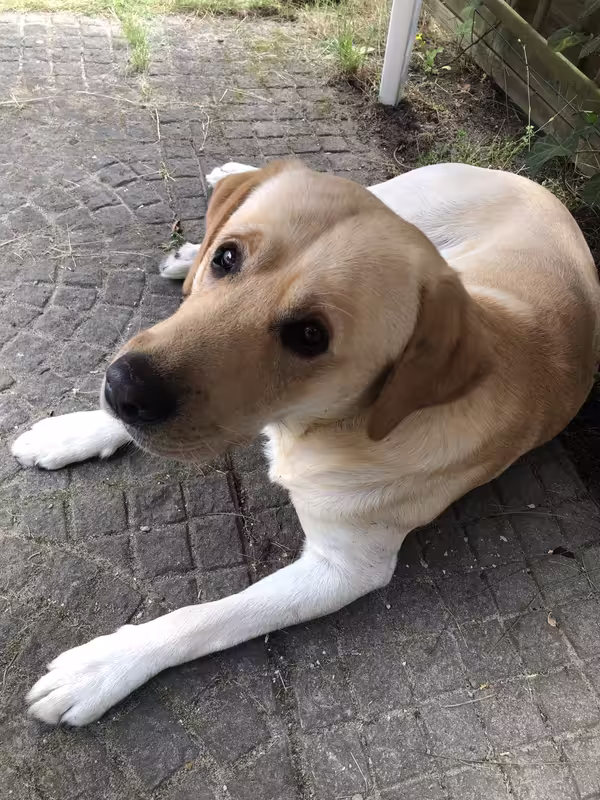 93468644-AA98-4FE1-9C06-865BDF736FCD